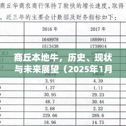 商丘牛业，历史传承、现状解析与未来展望
