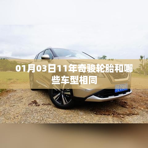 资质荣誉 第79页