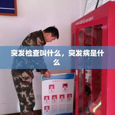 突发检查叫什么，突发病是什么 