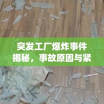 突发工厂爆炸事件揭秘，事故原因与紧急应对措施详解