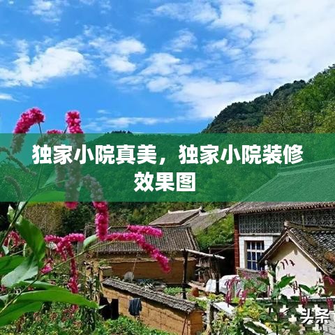独家小院真美，独家小院装修效果图 