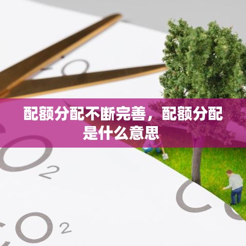 配额分配不断完善，配额分配是什么意思 