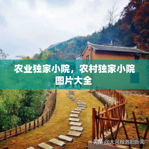 农业独家小院，农村独家小院图片大全 