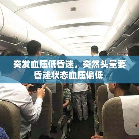 突发血压低昏迷，突然头晕要昏迷状态血压偏低 