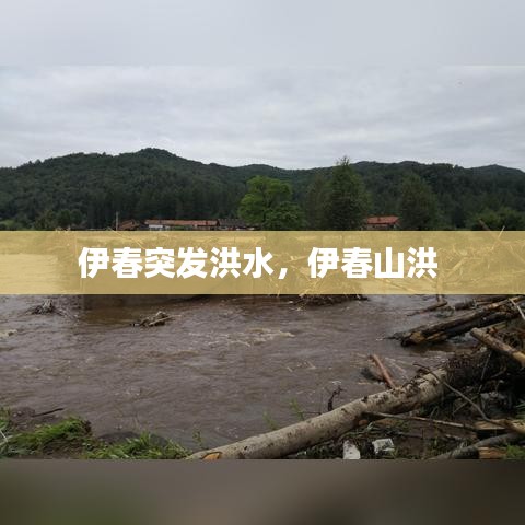 伊春突发洪水，伊春山洪 