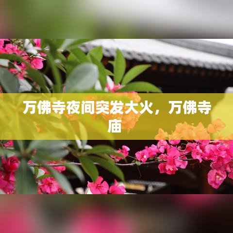 间不容发 第2页