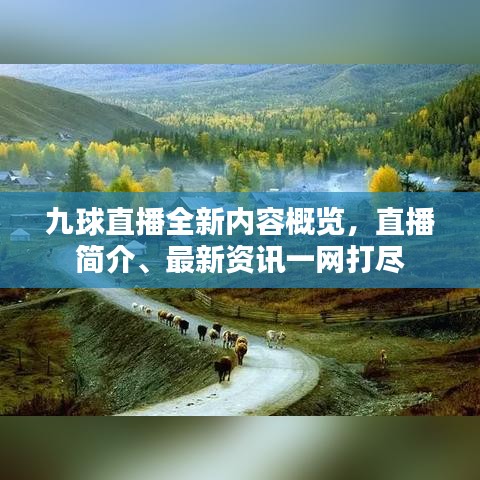 九球直播全新内容概览，直播简介、最新资讯一网打尽