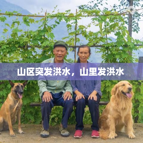 山区突发洪水，山里发洪水 