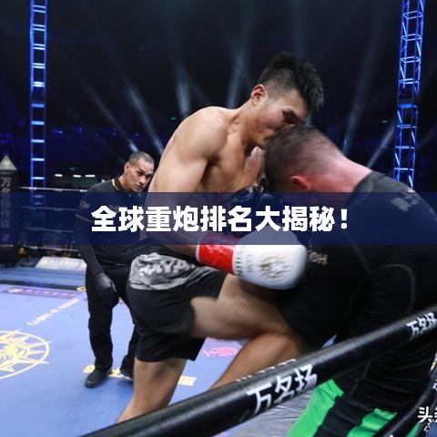 全球重炮排名大揭秘！