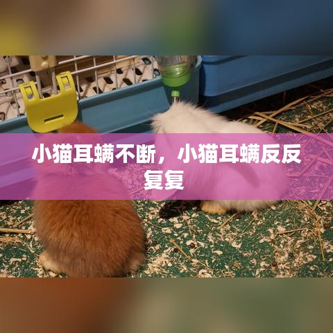 合作案例 第83页