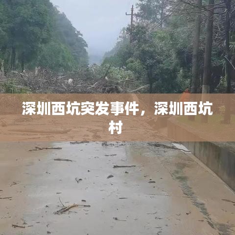 深圳西坑突发事件，深圳西坑村 