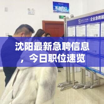 沈阳最新急聘信息，今日职位速览