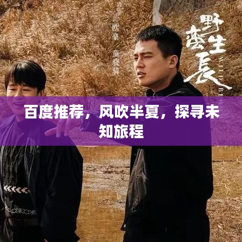 百度推荐，风吹半夏，探寻未知旅程