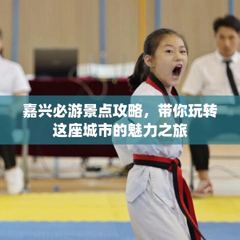 嘉兴必游景点攻略，带你玩转这座城市的魅力之旅