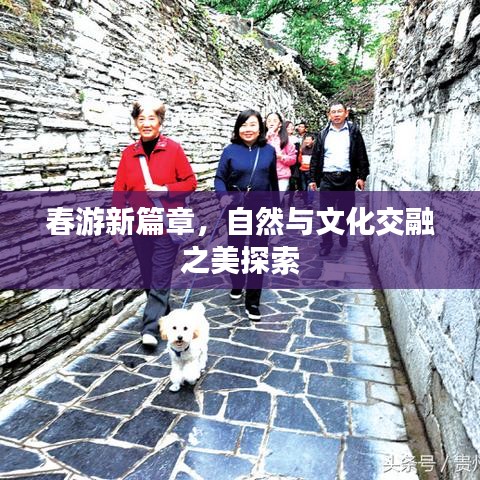 春游新篇章，自然与文化交融之美探索