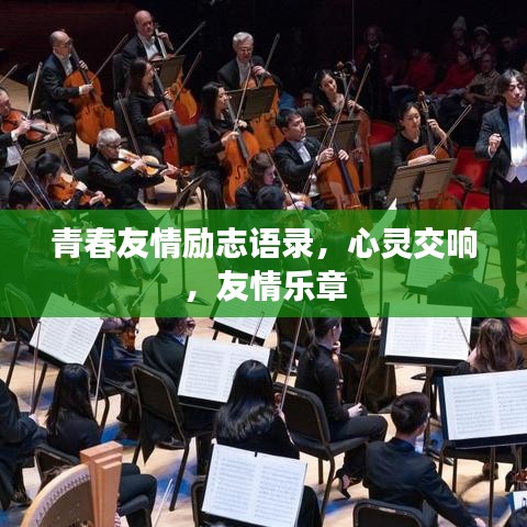 青春友情励志语录，心灵交响，友情乐章