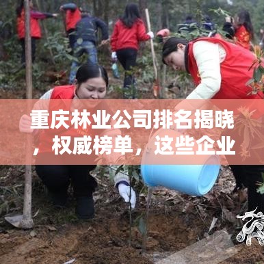 重庆林业公司排名揭晓，权威榜单，这些企业领跑行业！