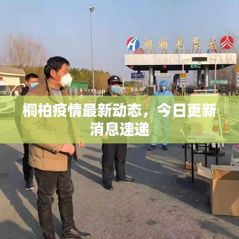 桐柏疫情最新动态，今日更新消息速递