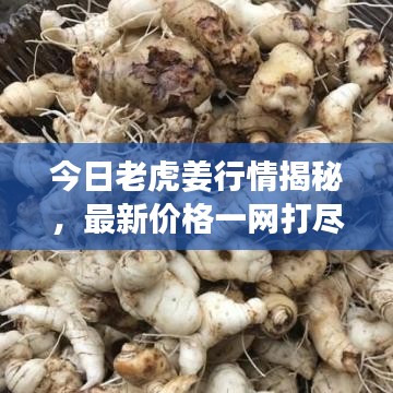 画地为牢 第2页