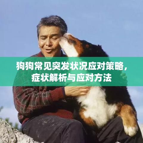 落落大方 第2页