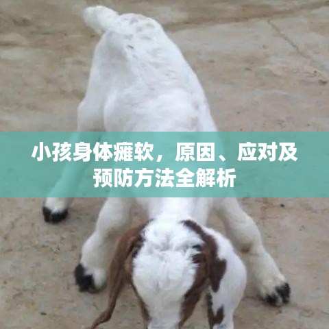 射飞逐走 第2页