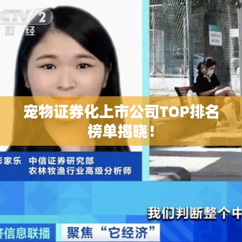 宠物证券化上市公司TOP排名榜单揭晓！