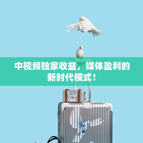 中视频独家收益，媒体盈利的新时代模式！