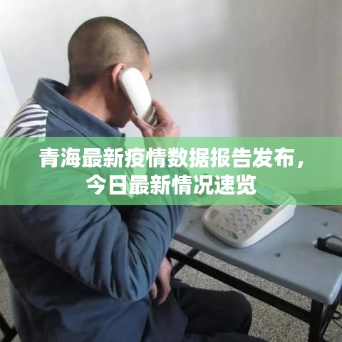 青海最新疫情数据报告发布，今日最新情况速览
