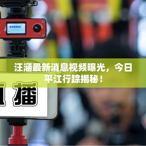 汪涵最新消息视频曝光，今日平江行踪揭秘！