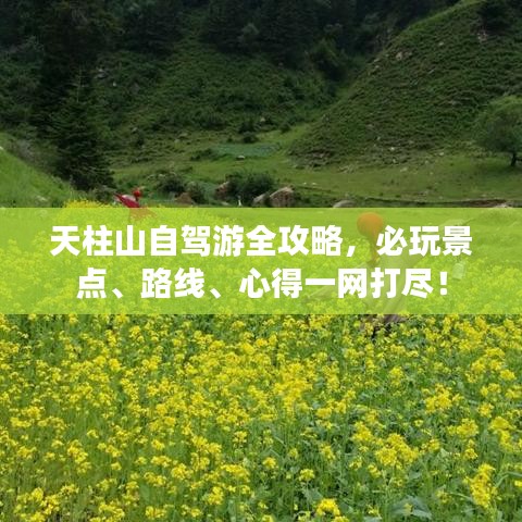 天柱山自驾游全攻略，必玩景点、路线、心得一网打尽！