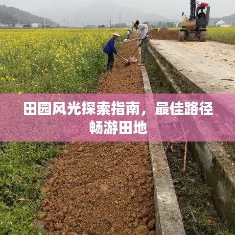 田园风光探索指南，最佳路径畅游田地