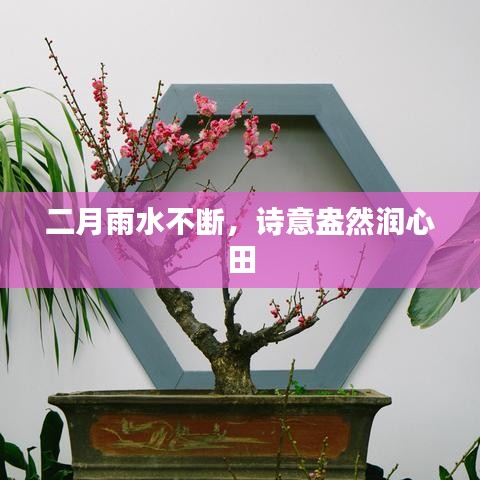 二月雨水不断，诗意盎然润心田