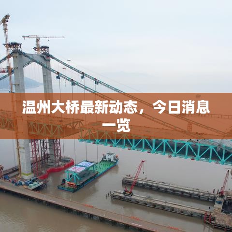 温州大桥最新动态，今日消息一览