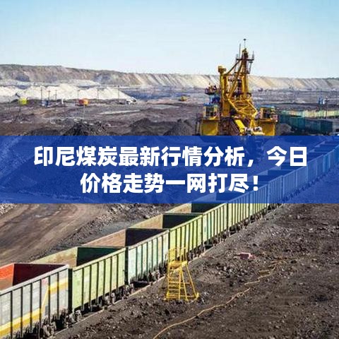 印尼煤炭最新行情分析，今日价格走势一网打尽！