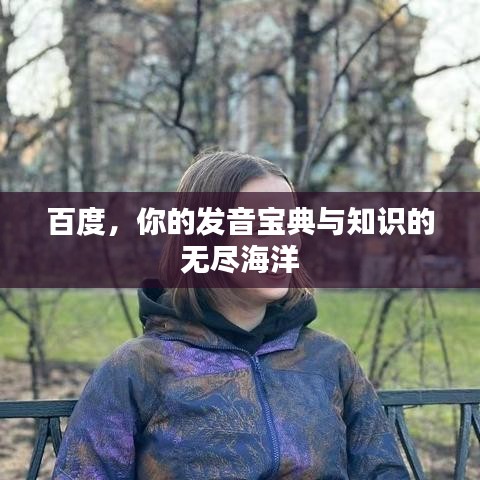 百度，你的发音宝典与知识的无尽海洋