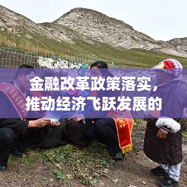 金融改革政策落实，推动经济飞跃发展的重大举措