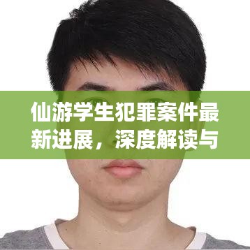 仙游学生犯罪案件最新进展，深度解读与法律解析