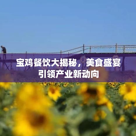 宝鸡餐饮大揭秘，美食盛宴引领产业新动向