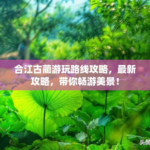 高不成低不就 第2页