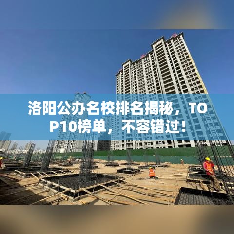 炊粱跨卫 第2页