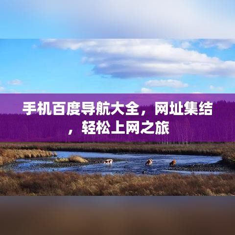 手机百度导航大全，网址集结，轻松上网之旅