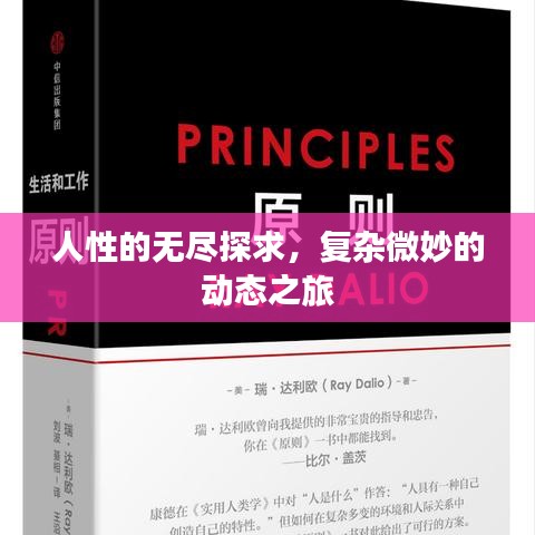 人性的无尽探求，复杂微妙的动态之旅