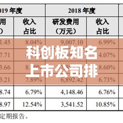 科创板知名上市公司排名大揭秘，谁是行业领军者？