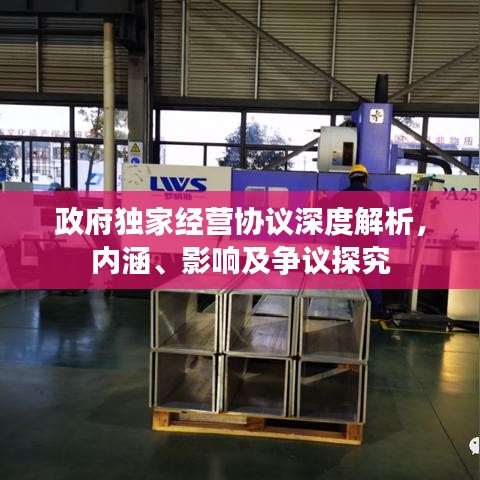 政府独家经营协议深度解析，内涵、影响及争议探究