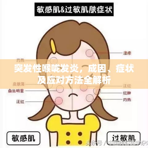小鸟依人 第2页