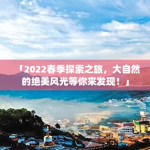 飞扬拨扈 第2页