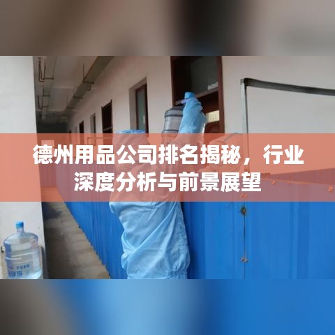 德州用品公司排名揭秘，行业深度分析与前景展望