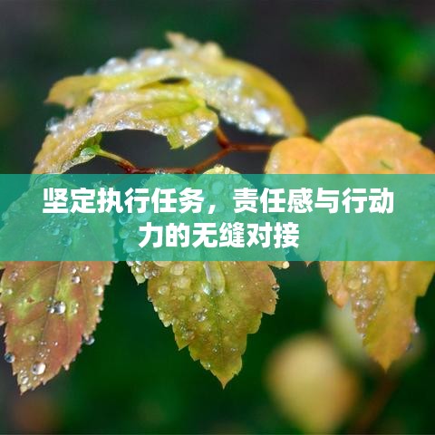 坚定执行任务，责任感与行动力的无缝对接