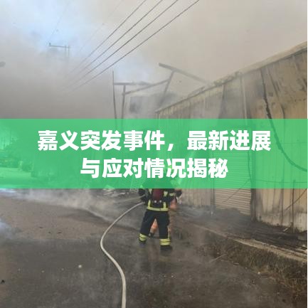 如鸟兽散 第2页