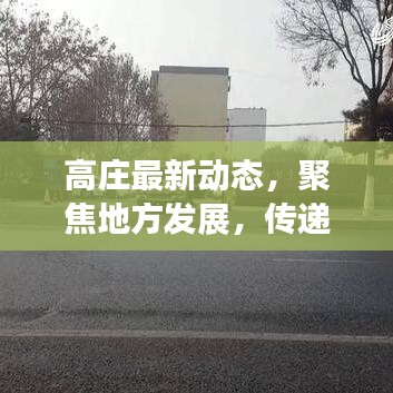 高庄最新动态，聚焦地方发展，传递最新新闻头条